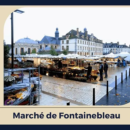 Le Sejour Bellifontain * فونتانبلو